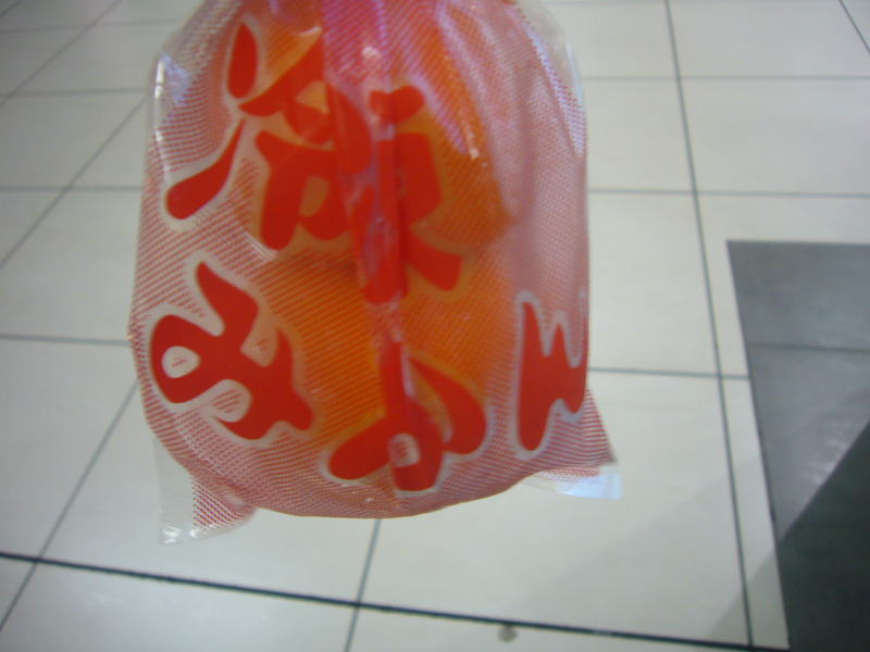 静岡駅のギフトキヨスクで購入した冷凍みかん