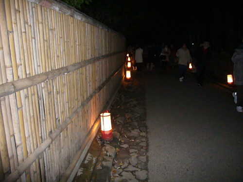京都･嵐山花灯路2006画像