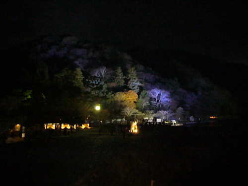 京都･嵐山花灯路2006画像